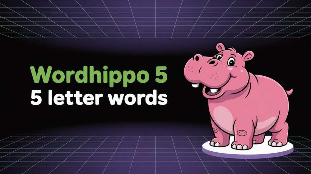 WordHippo 5 – The Ultimate Word Tool for 2025