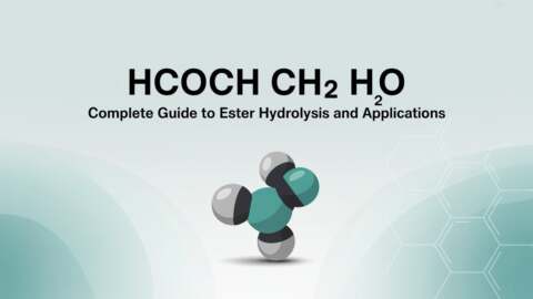 Hcooch ch2 h2o Complete Guide to Ester Hydrolysis and Applications