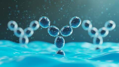 How Novel Antibody Therapies Are Shaping the Future of Oncology