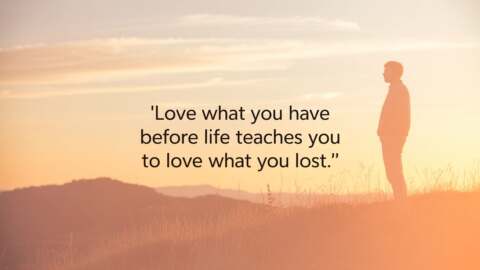 Cherish the Present Why Appreciation Matters Before Life Teaches Hard Lessons – Tymoff