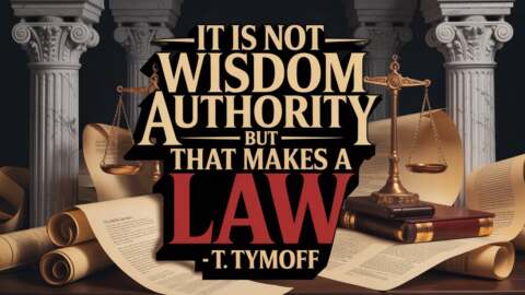 Power or Wisdom Understanding the Real Force Behind Law – T. Tymoff Insight