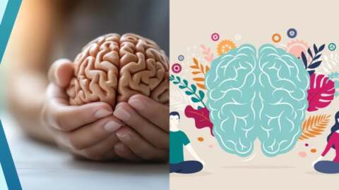 Cognitive Health Solutions for Sharper Minds