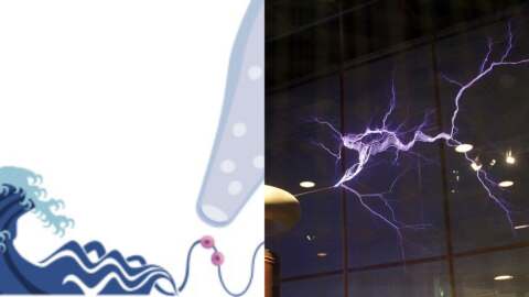 Vital Currents: A Closer Look at the Power of Acoustic Wave Therapy