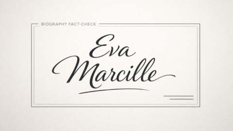 Does Eva Marcille Have a Twin Sister What the Facts Actually Say