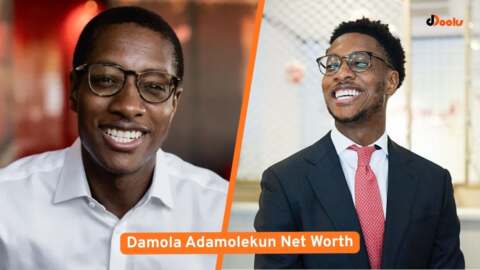 Damola Adamolekun Net Worth From Wall Street to Restaurant CEO